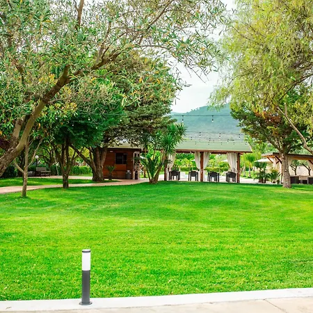 Oasis Gabella *